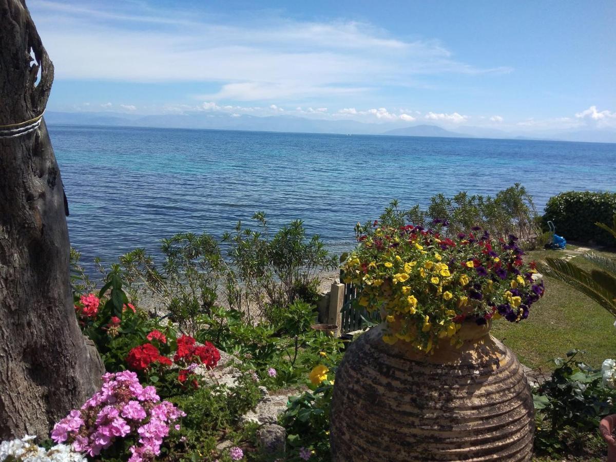 Studio Nausica... A Sense Of Paradise! Agia Pelagia Chlomou Zewnętrze zdjęcie