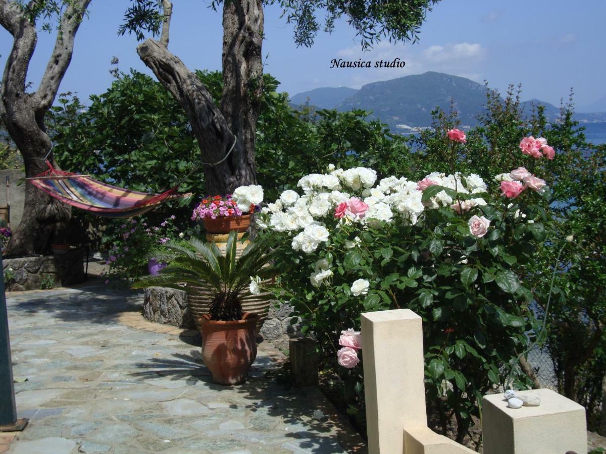 Studio Nausica... A Sense Of Paradise! Agia Pelagia Chlomou Zewnętrze zdjęcie