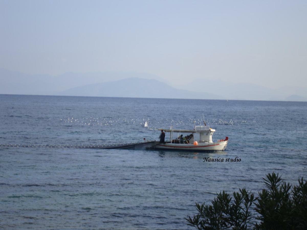 Studio Nausica... A Sense Of Paradise! Agia Pelagia Chlomou Zewnętrze zdjęcie