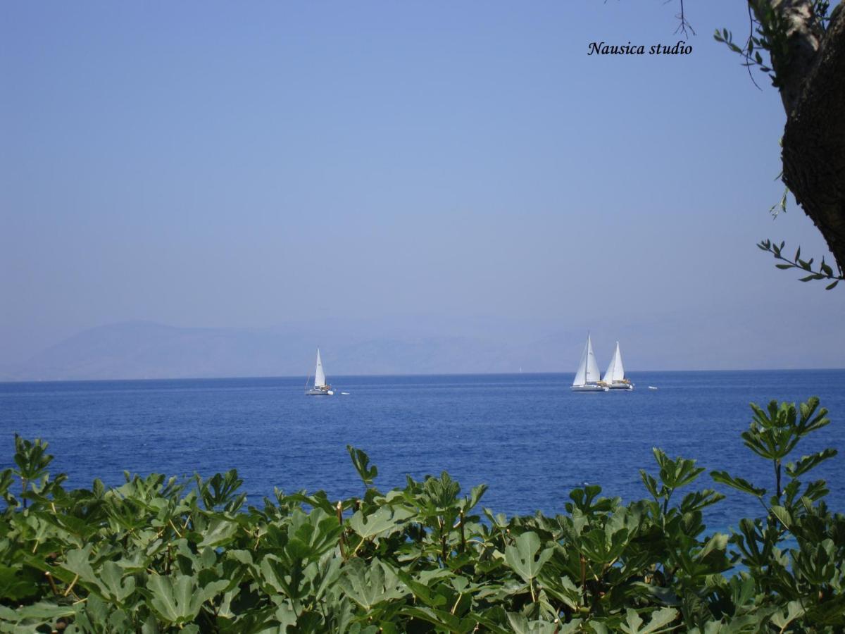 Studio Nausica... A Sense Of Paradise! Agia Pelagia Chlomou Zewnętrze zdjęcie